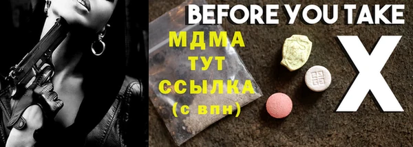 индика Протвино