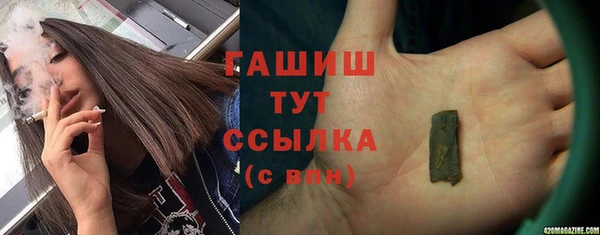 индика Протвино