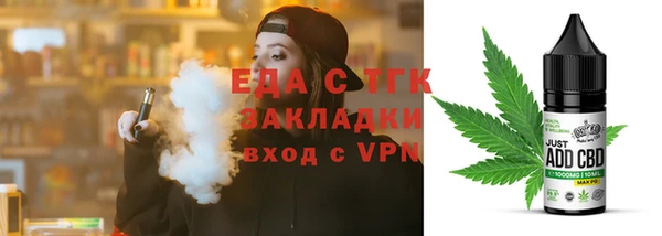 индика Протвино