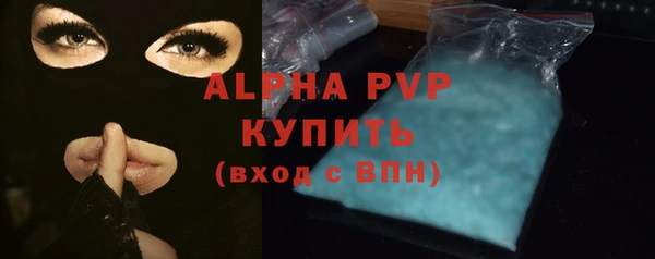 индика Протвино