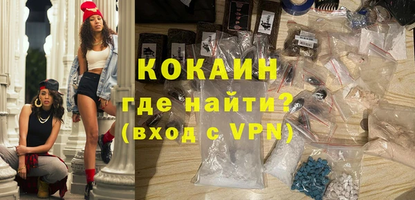 индика Протвино