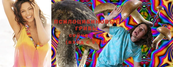 индика Протвино